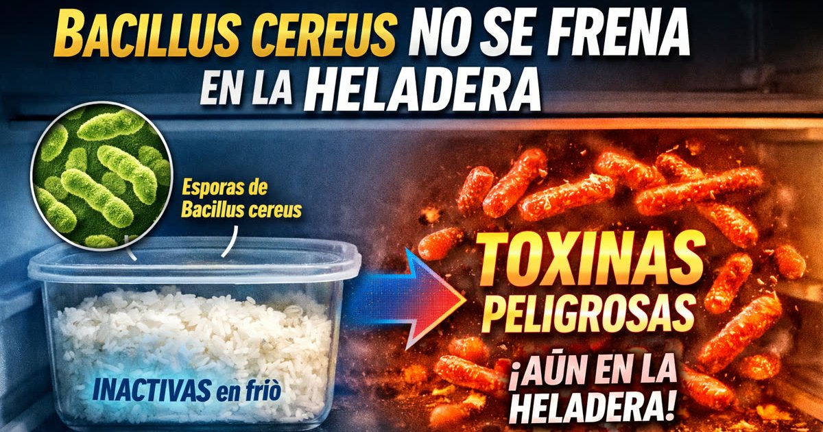 La “ley no escrita” del arroz en Asia: por qué millones evitan comerlo recalentado